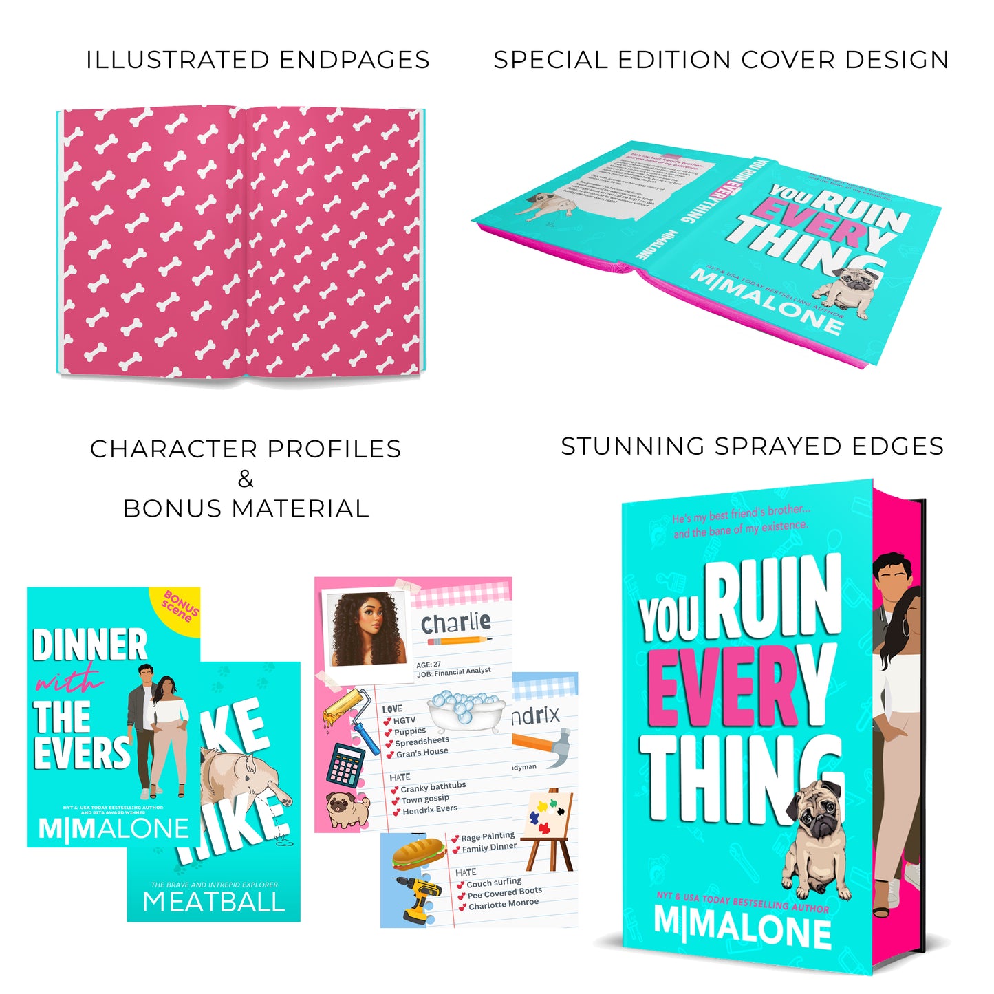 You Ruin Everything - Special Edition (Hardcover)